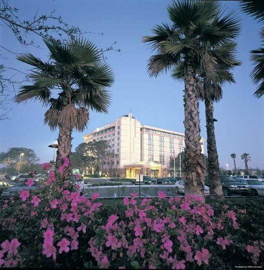 Hotel Embassy Suites By Hilton Tampa Usf Near Busch Gardens 4