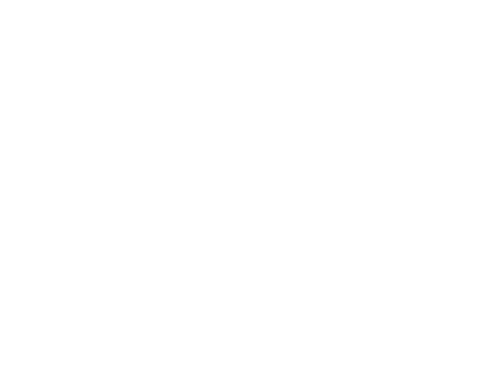 A master card Logo